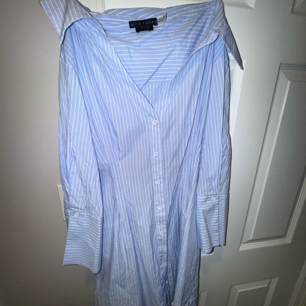 Alice + Olivia Blue Striped Shirt Dress